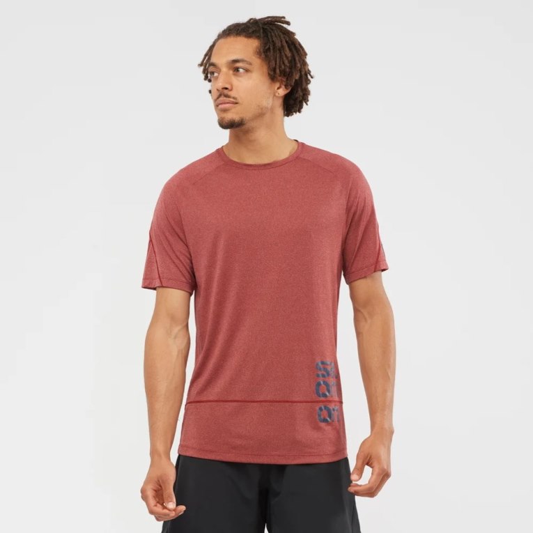 Camiseta Salomon Cross Run Estampados Corta Sleeve Hombre Rojos Oscuro | MX ECUD295